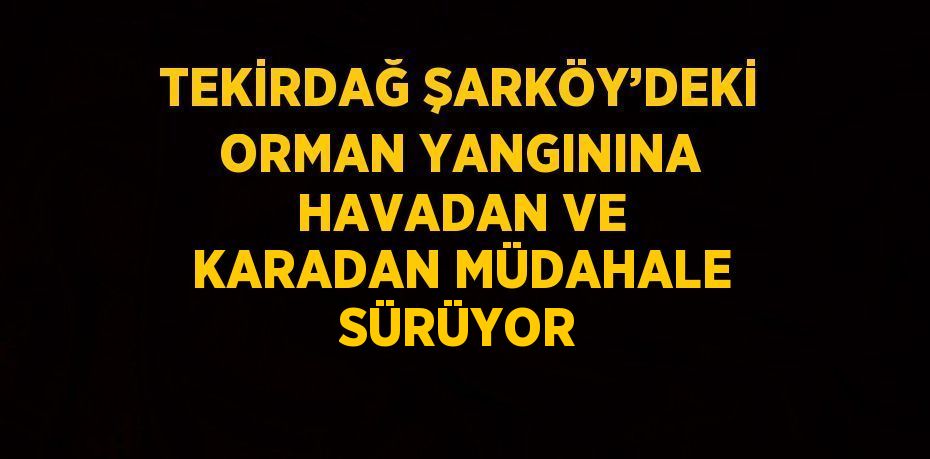 TEKİRDAĞ ŞARKÖY’DEKİ ORMAN YANGININA HAVADAN VE KARADAN MÜDAHALE SÜRÜYOR