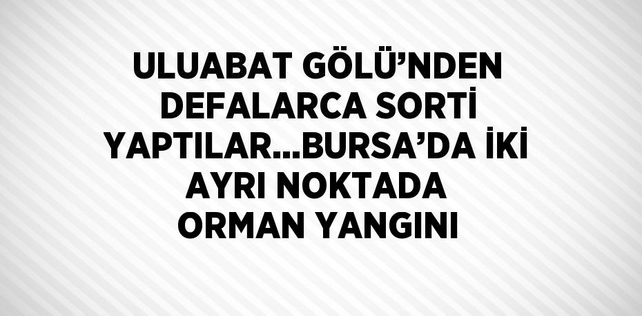 ULUABAT GÖLÜ’NDEN DEFALARCA SORTİ YAPTILAR...BURSA’DA İKİ AYRI NOKTADA ORMAN YANGINI