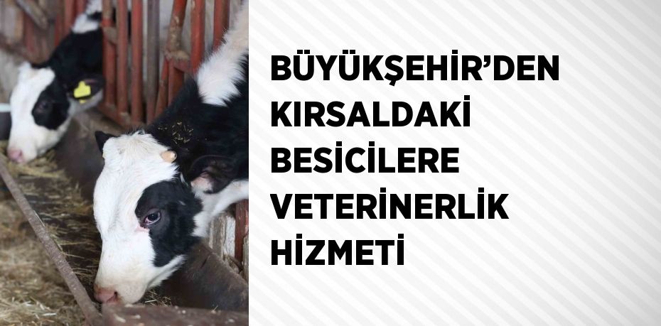 BÜYÜKŞEHİR’DEN KIRSALDAKİ BESİCİLERE VETERİNERLİK HİZMETİ