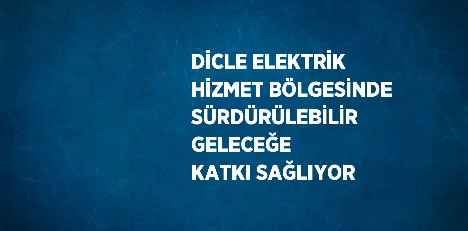 DİCLE ELEKTRİK HİZMET BÖLGESİNDE SÜRDÜRÜLEBİLİR GELECEĞE KATKI SAĞLIYOR