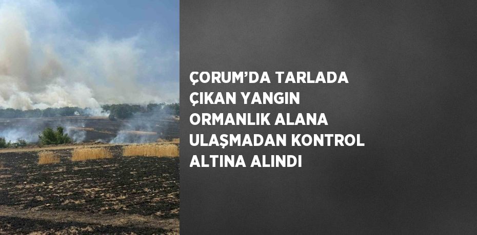 ÇORUM’DA TARLADA ÇIKAN YANGIN ORMANLIK ALANA ULAŞMADAN KONTROL ALTINA ALINDI