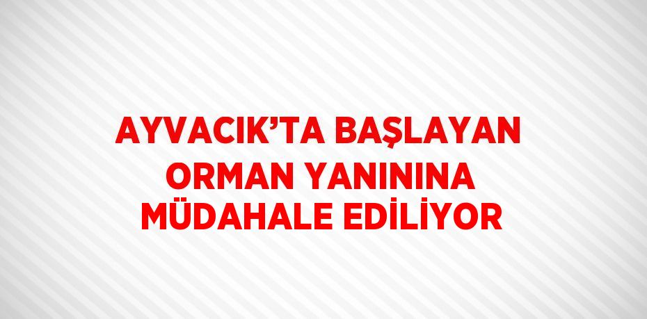 AYVACIK’TA BAŞLAYAN ORMAN YANININA MÜDAHALE EDİLİYOR