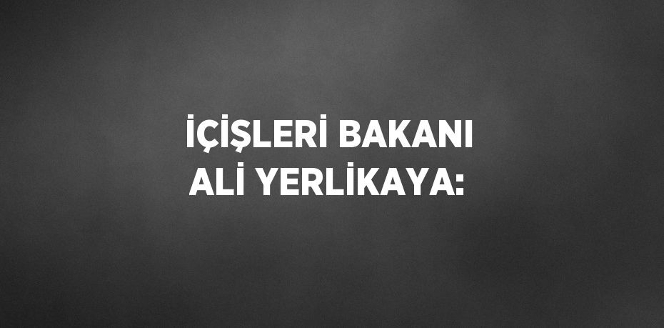 İÇİŞLERİ BAKANI ALİ YERLİKAYA: