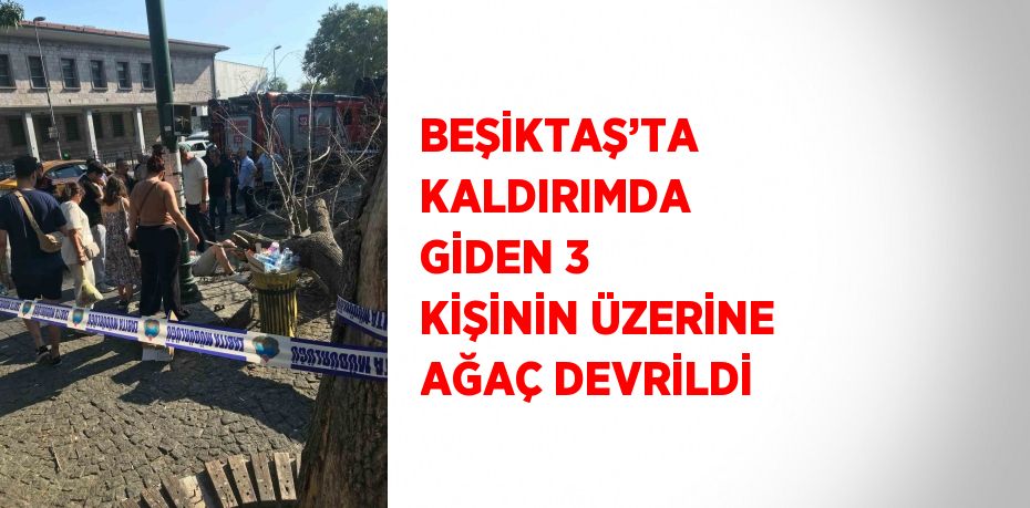 BEŞİKTAŞ’TA KALDIRIMDA GİDEN 3 KİŞİNİN ÜZERİNE AĞAÇ DEVRİLDİ