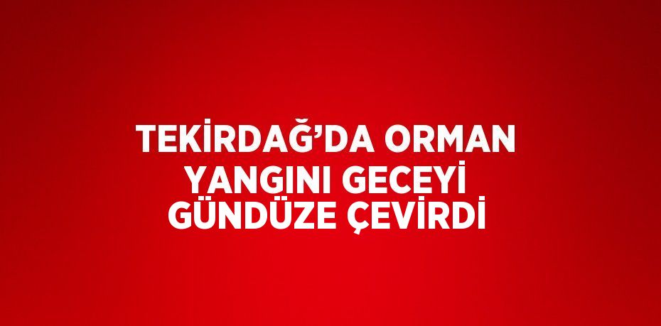 TEKİRDAĞ’DA ORMAN YANGINI GECEYİ GÜNDÜZE ÇEVİRDİ