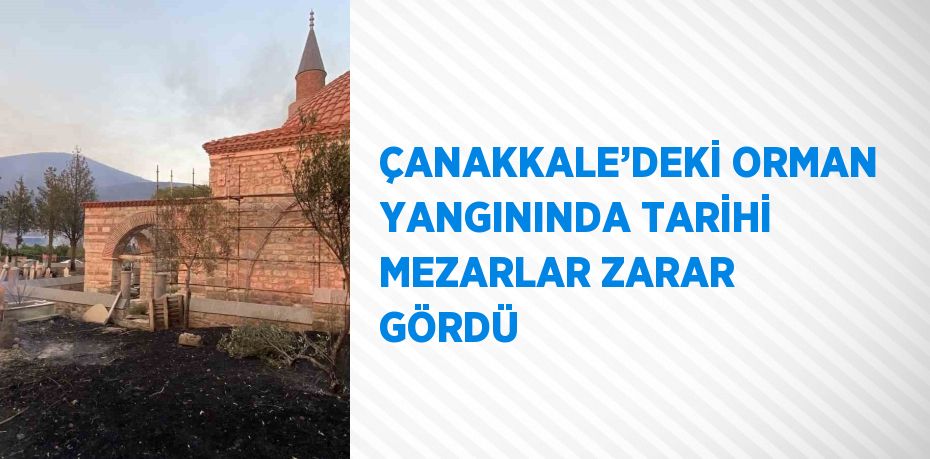 ÇANAKKALE’DEKİ ORMAN YANGININDA TARİHİ MEZARLAR ZARAR GÖRDÜ