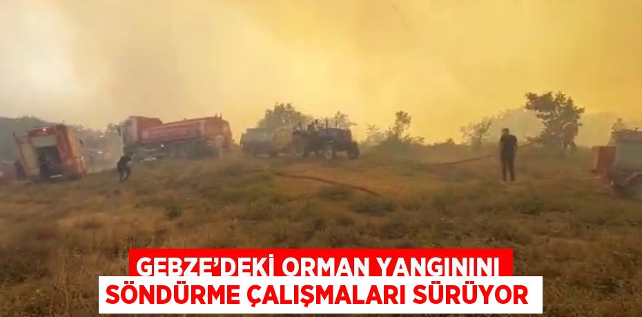 GEBZE’DEKİ ORMAN YANGININI SÖNDÜRME ÇALIŞMALARI SÜRÜYOR