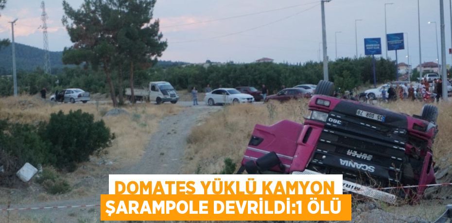DOMATES YÜKLÜ KAMYON ŞARAMPOLE DEVRİLDİ:1 ÖLÜ