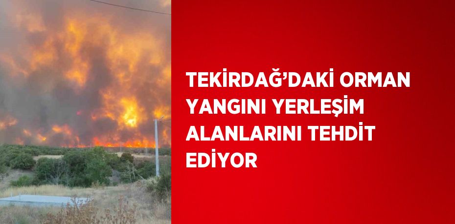 TEKİRDAĞ’DAKİ ORMAN YANGINI YERLEŞİM ALANLARINI TEHDİT EDİYOR