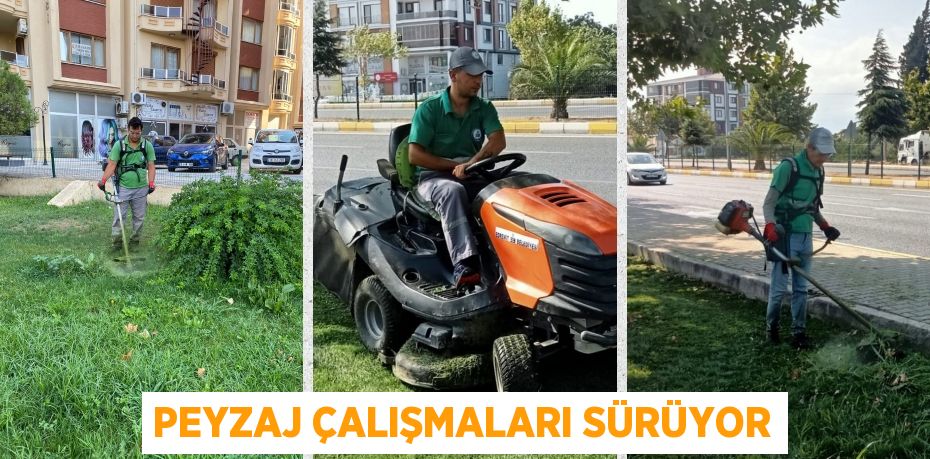 PEYZAJ ÇALIŞMALARI SÜRÜYOR