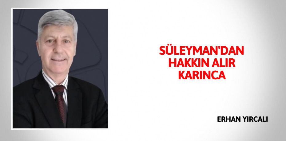 SÜLEYMAN'DAN HAKKIN ALIR KARINCA