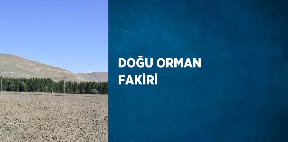 DOĞU ORMAN FAKİRİ