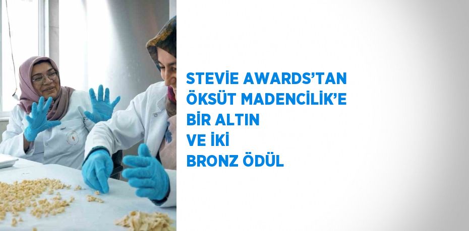 STEVİE AWARDS’TAN ÖKSÜT MADENCİLİK’E BİR ALTIN VE İKİ BRONZ ÖDÜL