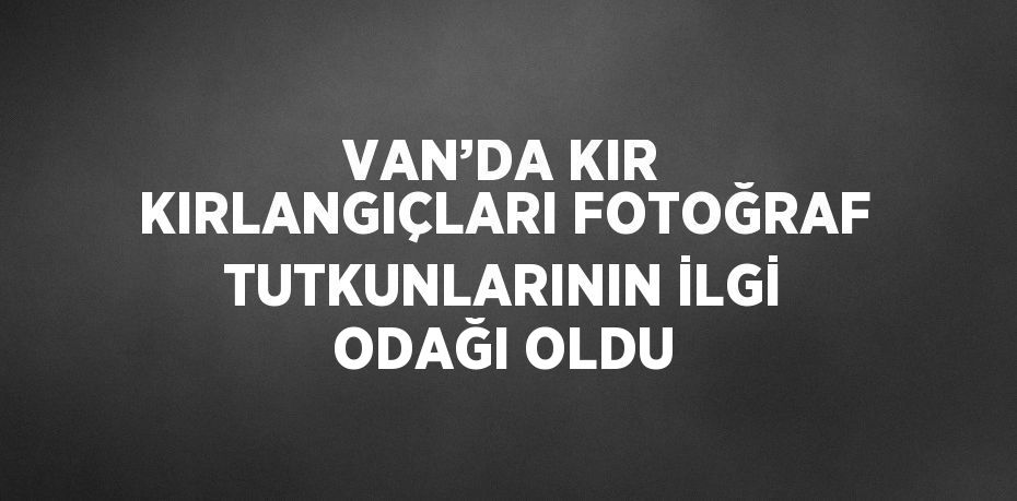 VAN’DA KIR KIRLANGIÇLARI FOTOĞRAF TUTKUNLARININ İLGİ ODAĞI OLDU