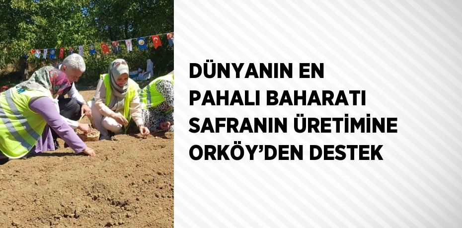 DÜNYANIN EN PAHALI BAHARATI SAFRANIN ÜRETİMİNE ORKÖY’DEN DESTEK