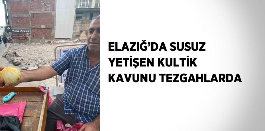 ELAZIĞ’DA SUSUZ YETİŞEN KULTİK KAVUNU TEZGAHLARDA