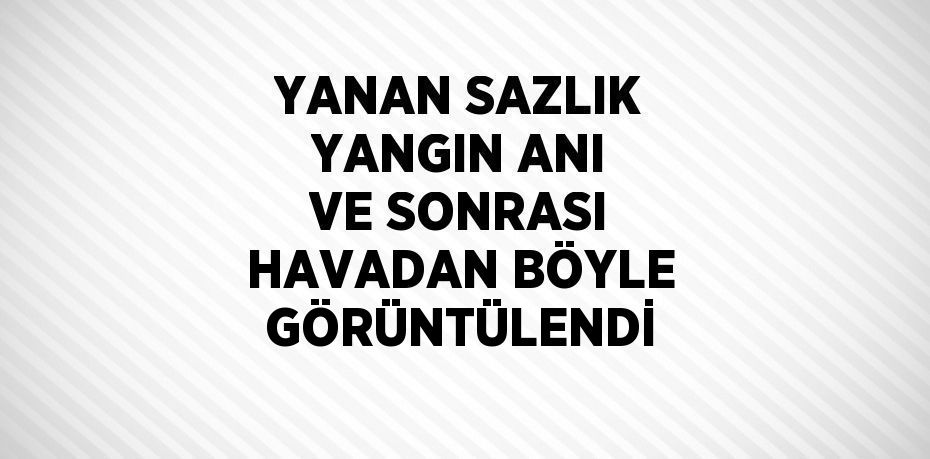 YANAN SAZLIK YANGIN ANI VE SONRASI HAVADAN BÖYLE GÖRÜNTÜLENDİ