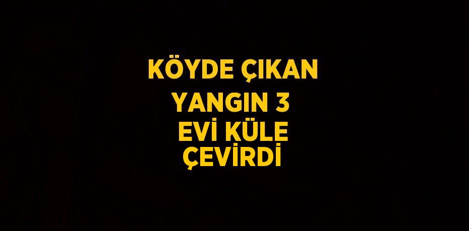 KÖYDE ÇIKAN YANGIN 3 EVİ KÜLE ÇEVİRDİ