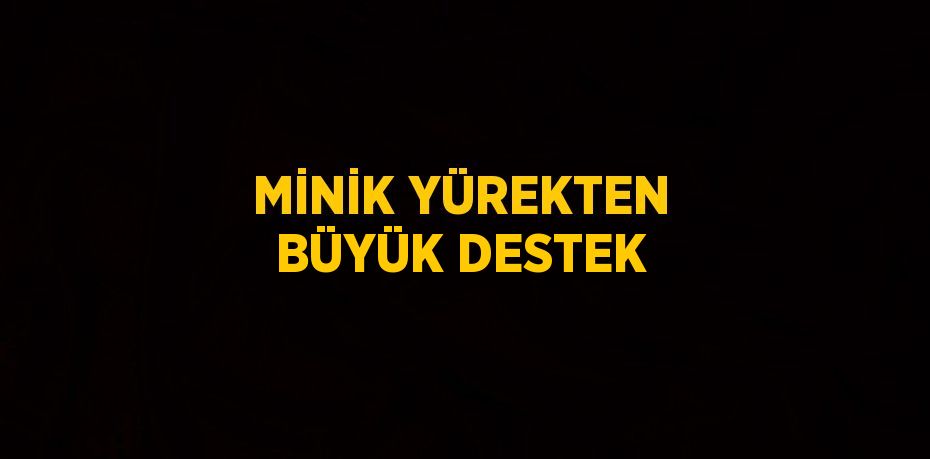 MİNİK YÜREKTEN BÜYÜK DESTEK