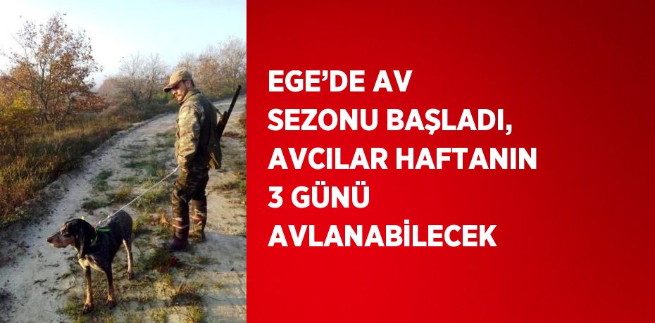 EGE’DE AV SEZONU BAŞLADI, AVCILAR HAFTANIN 3 GÜNÜ AVLANABİLECEK