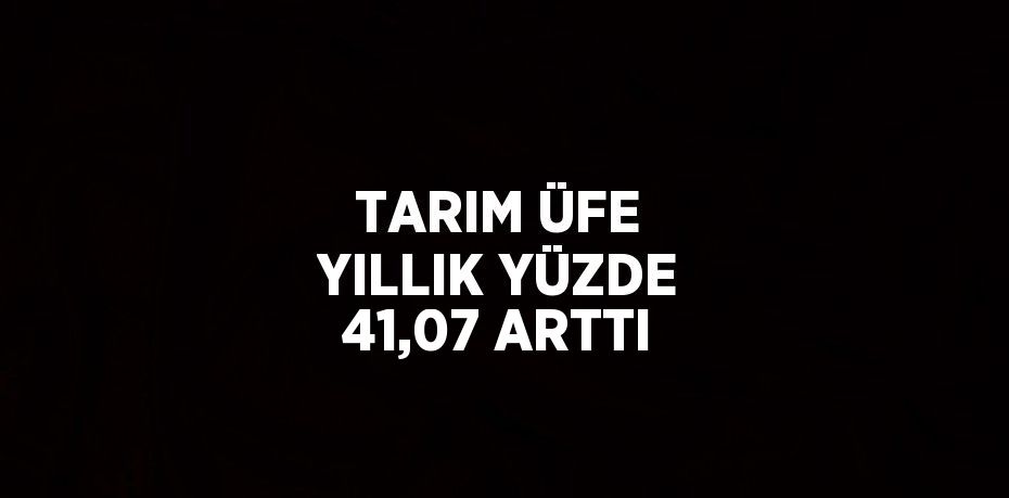 TARIM ÜFE YILLIK YÜZDE 41,07 ARTTI