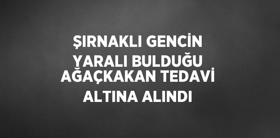 ŞIRNAKLI GENCİN YARALI BULDUĞU AĞAÇKAKAN TEDAVİ ALTINA ALINDI