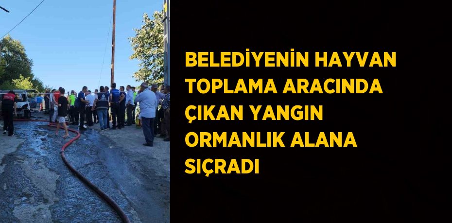 BELEDİYENİN HAYVAN TOPLAMA ARACINDA ÇIKAN YANGIN ORMANLIK ALANA SIÇRADI