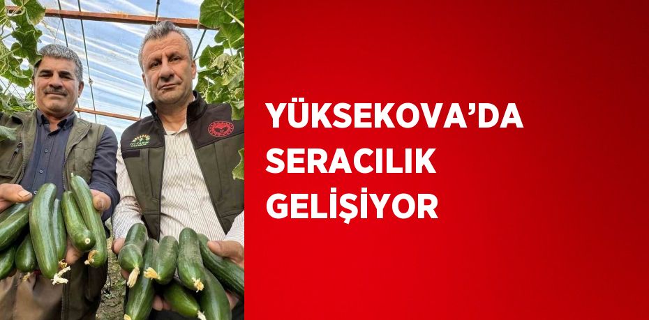 YÜKSEKOVA’DA SERACILIK GELİŞİYOR