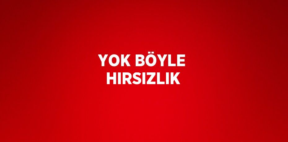 YOK BÖYLE HIRSIZLIK