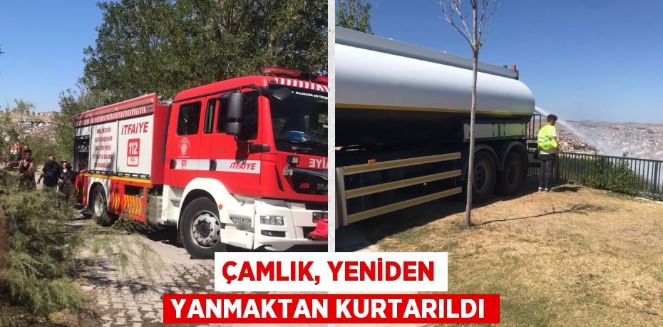 ÇAMLIK, YENİDEN YANMAKTAN KURTARILDI