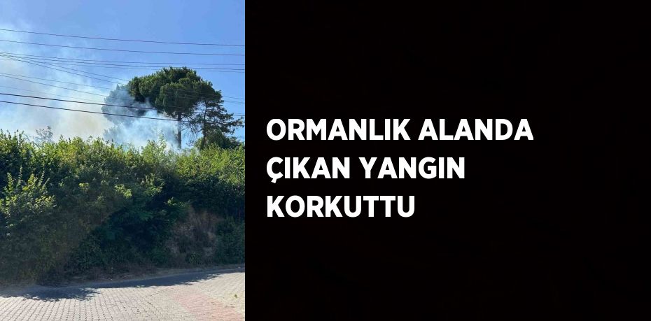 ORMANLIK ALANDA ÇIKAN YANGIN KORKUTTU