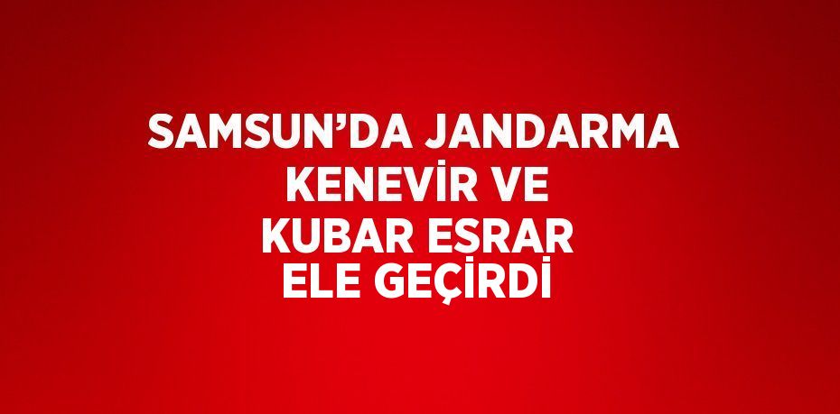 SAMSUN’DA JANDARMA KENEVİR VE KUBAR ESRAR ELE GEÇİRDİ