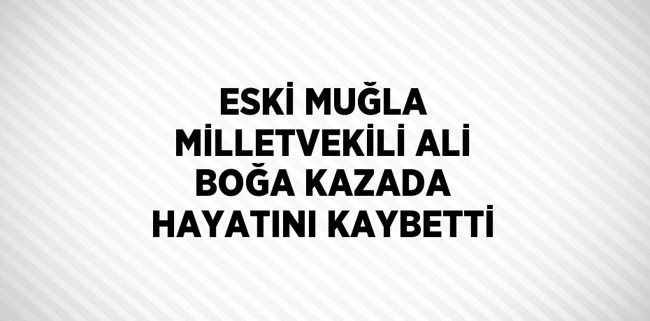 ESKİ MUĞLA MİLLETVEKİLİ ALİ BOĞA KAZADA HAYATINI KAYBETTİ