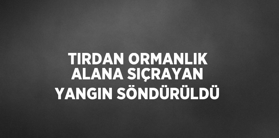 TIRDAN ORMANLIK ALANA SIÇRAYAN YANGIN SÖNDÜRÜLDÜ