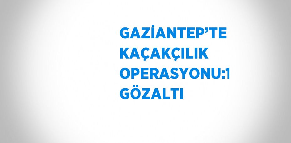 GAZİANTEP’TE KAÇAKÇILIK OPERASYONU:1 GÖZALTI