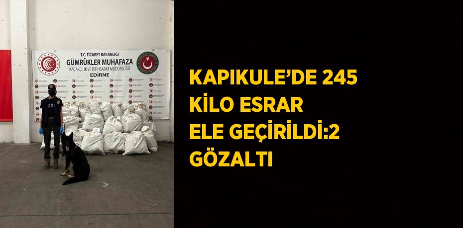 KAPIKULE’DE 245 KİLO ESRAR ELE GEÇİRİLDİ:2 GÖZALTI