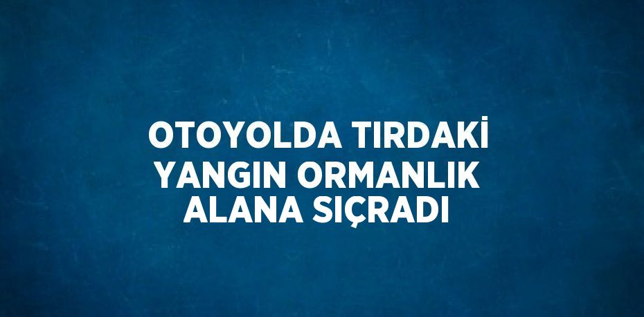 OTOYOLDA TIRDAKİ YANGIN ORMANLIK ALANA SIÇRADI