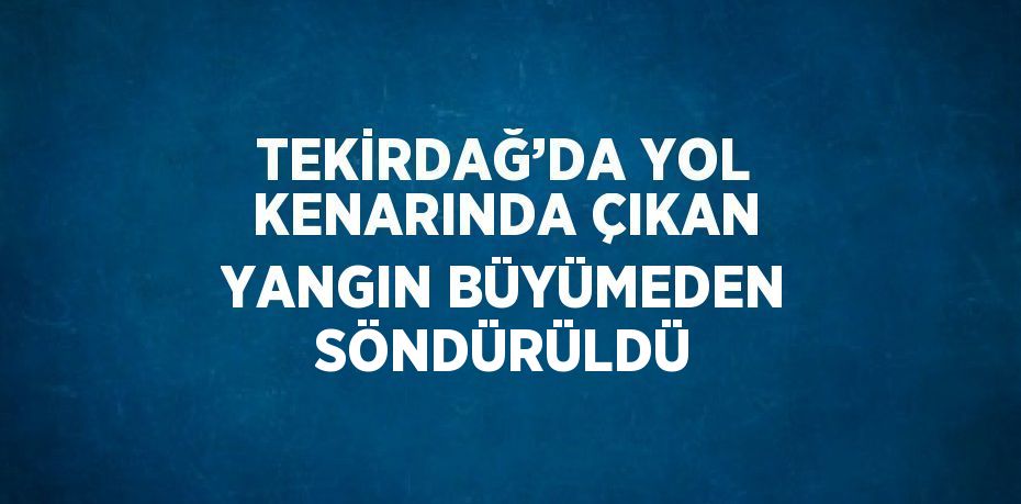 TEKİRDAĞ’DA YOL KENARINDA ÇIKAN YANGIN BÜYÜMEDEN SÖNDÜRÜLDÜ