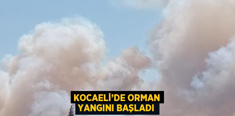 KOCAELİ’DE ORMAN YANGINI BAŞLADI