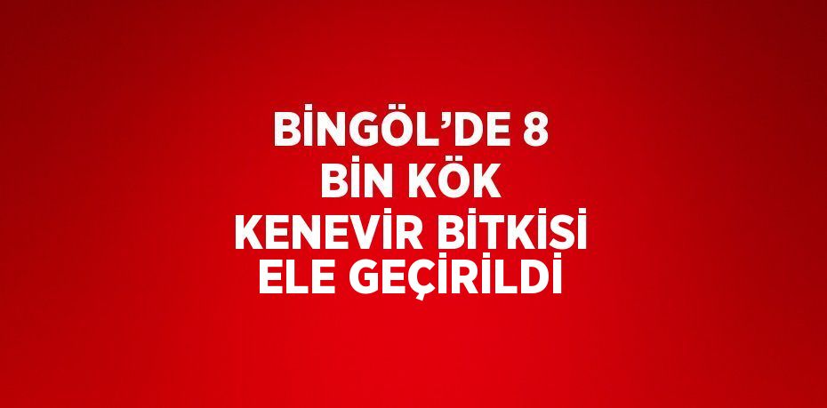 BİNGÖL’DE 8 BİN KÖK KENEVİR BİTKİSİ ELE GEÇİRİLDİ