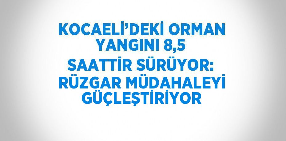 KOCAELİ’DEKİ ORMAN YANGINI 8,5 SAATTİR SÜRÜYOR: RÜZGAR MÜDAHALEYİ GÜÇLEŞTİRİYOR