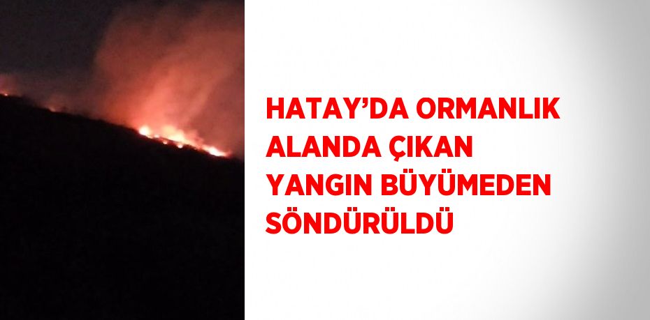 HATAY’DA ORMANLIK ALANDA ÇIKAN YANGIN BÜYÜMEDEN SÖNDÜRÜLDÜ