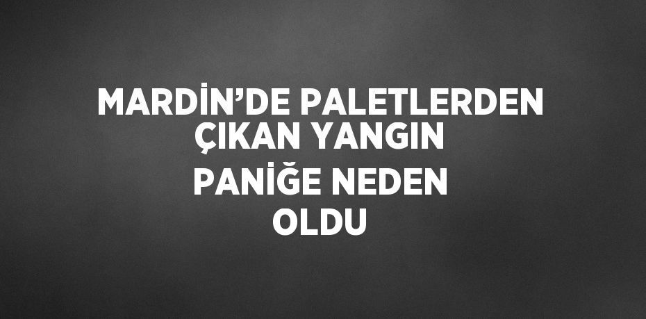 MARDİN’DE PALETLERDEN ÇIKAN YANGIN PANİĞE NEDEN OLDU