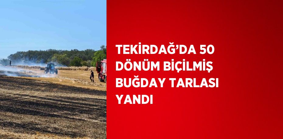 TEKİRDAĞ’DA 50 DÖNÜM BİÇİLMİŞ BUĞDAY TARLASI YANDI