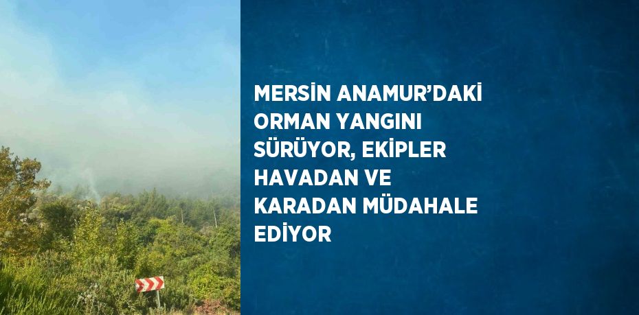 MERSİN ANAMUR’DAKİ ORMAN YANGINI SÜRÜYOR, EKİPLER HAVADAN VE KARADAN MÜDAHALE EDİYOR