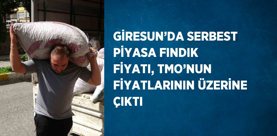 GİRESUN’DA SERBEST PİYASA FINDIK FİYATI, TMO’NUN FİYATLARININ ÜZERİNE ÇIKTI