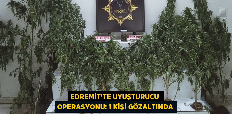 Edremit’te uyuşturucu  operasyonu: 1 kişi gözaltında