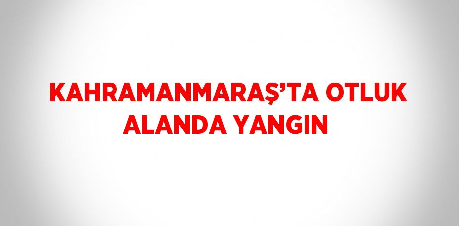 KAHRAMANMARAŞ’TA OTLUK ALANDA YANGIN