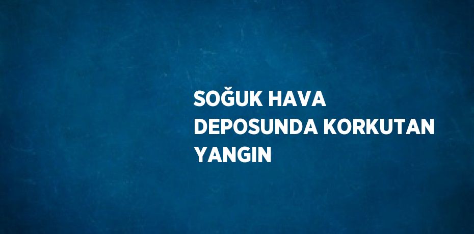 SOĞUK HAVA DEPOSUNDA KORKUTAN YANGIN