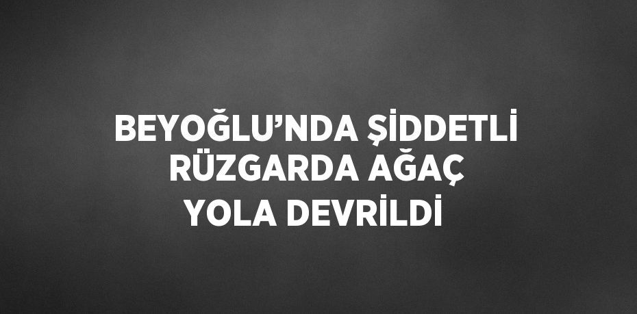 BEYOĞLU’NDA ŞİDDETLİ RÜZGARDA AĞAÇ YOLA DEVRİLDİ
